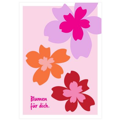 Bild für Auswahlnummer 2